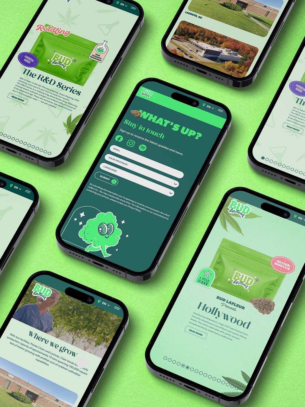 Plusieurs smartphones affichent le site web d'une marque de cannabis, présentant les emballages des produits, des formulaires de contact, des informations sur l'entreprise et des graphismes sur le thème de la verdure, le tout disposé sur un fond vert assorti.