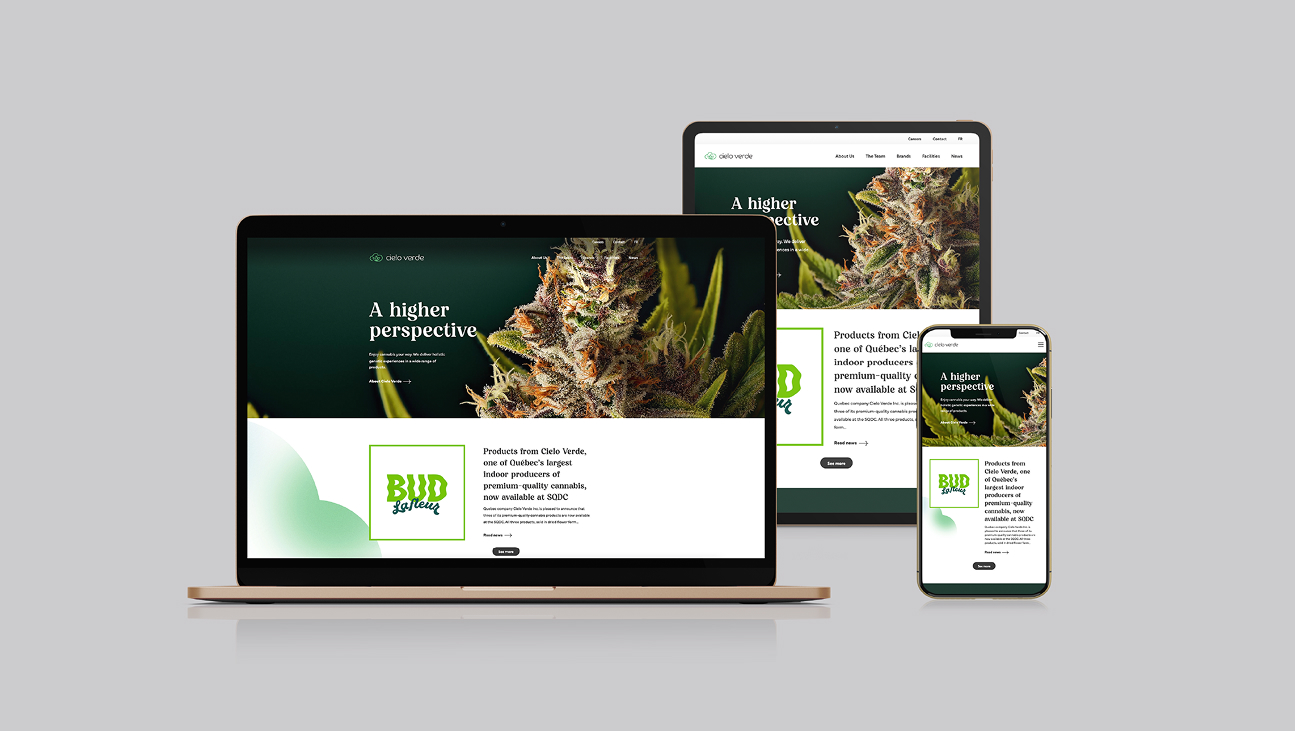 Un site web consacré au cannabis s'affiche sur un ordinateur portable, une tablette et un smartphone ; chacun présente un gros plan d'un bourgeon de cannabis et le texte « A higher perspective », avec une identité visuelle cohérente sur tous les appareils.