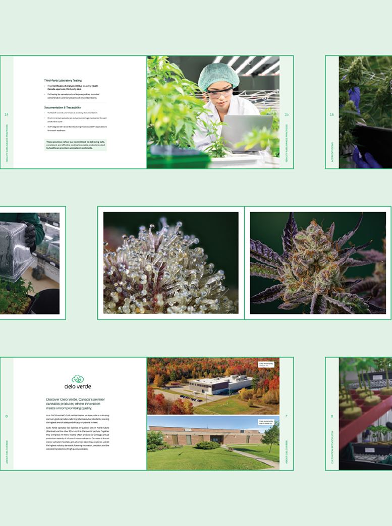 Un collage de pages tirées d'une brochure présente des images d'un scientifique examinant des plantes, des gros plans de bourgeons de cannabis, des serres et une installation moderne entourée d'arbres. La mise en page utilise des tons verts et blancs.